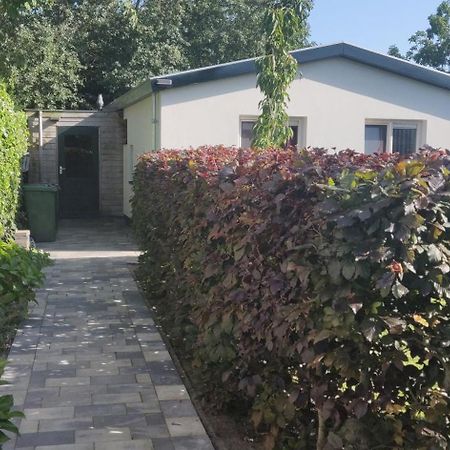 דה קוקסדורפ Vakantiebungalow Texel מראה חיצוני תמונה