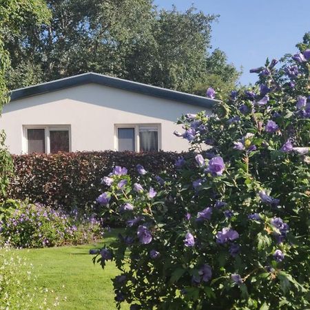 דה קוקסדורפ Vakantiebungalow Texel מראה חיצוני תמונה